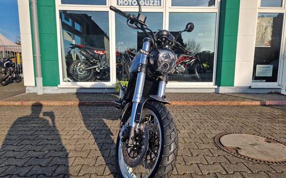 Neufahrzeug Benelli Leoncino 500 Trail - Bild 2