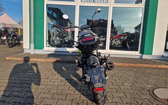 Neufahrzeug Benelli Leoncino 500 Trail - Bild 4