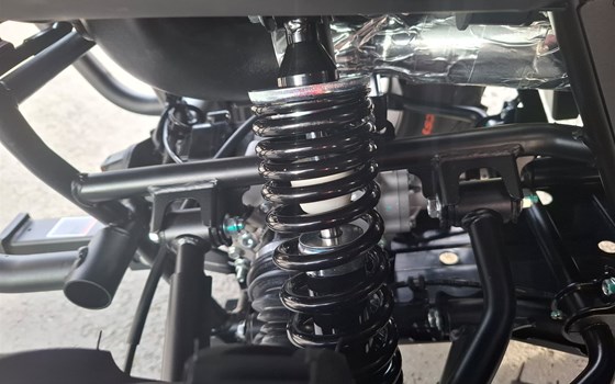 Neufahrzeug CFMOTO CFORCE 520 L DLX EPS - Bild 5