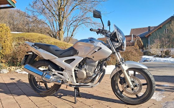 Gebrauchtmotorrad Honda CBF 250 - Bild 1