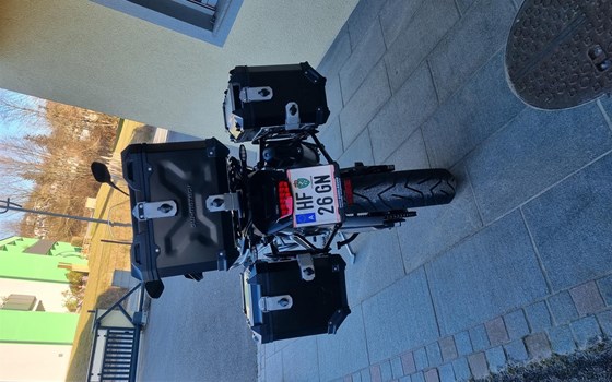 Gebrauchtmotorrad Triumph Tiger 900 Rally Pro - Bild 2