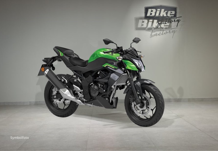 Kawasaki Z125 (GN1 Grün & Schwarz)