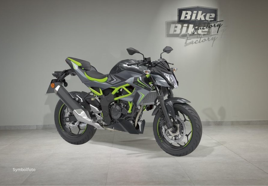 Kawasaki Z125 (GN1 Grün & Schwarz)