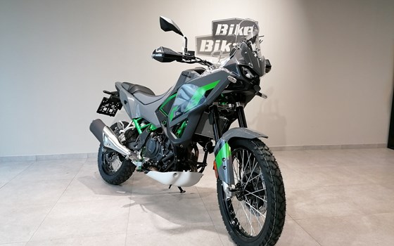 Neufahrzeug Kawasaki KLE500 SE - Bild 3