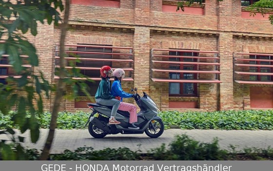 Gebrauchtmotorrad Honda PCX125 DX - Bild 9