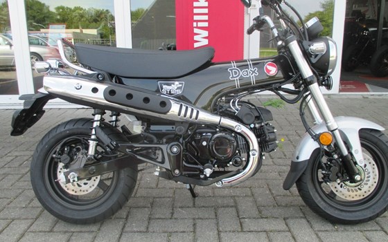 Gebrauchtmotorrad Honda Dax 125 - Bild 1