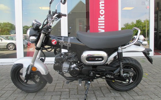 Gebrauchtmotorrad Honda Dax 125 - Bild 2