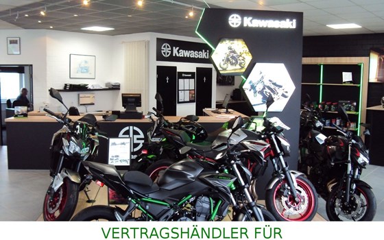 Gebrauchtmotorrad Lambretta X300 GT - Bild 11