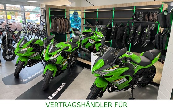 Gebrauchtmotorrad Lambretta X300 GT - Bild 12