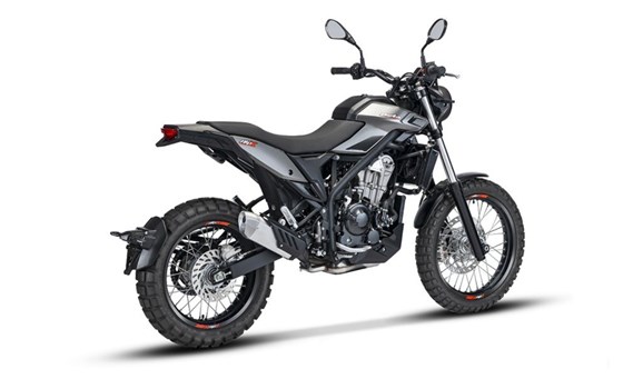 Neufahrzeug Beta Alp X - Bild 2