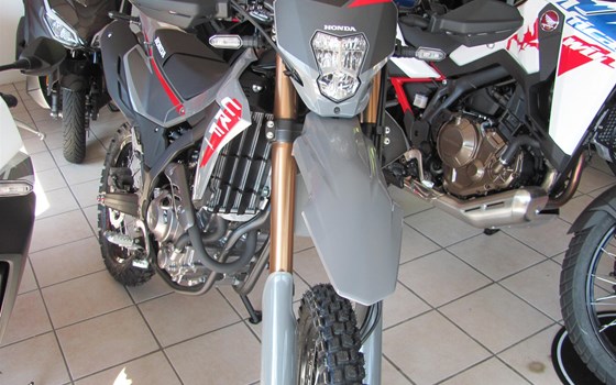 Neufahrzeug Honda CRF300L - Bild 2