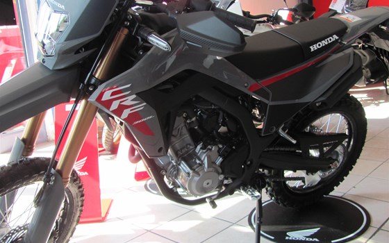 Neufahrzeug Honda CRF300L - Bild 10