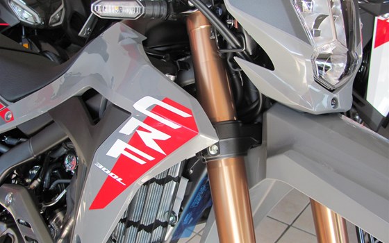 Neufahrzeug Honda CRF300L - Bild 5