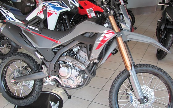 Neufahrzeug Honda CRF300L - Bild 7