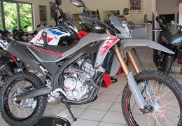 Neumotorrad Honda CRF300L