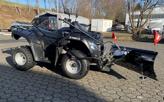 Gebrauchtmotorrad Kymco MXU 300 - Bild 5