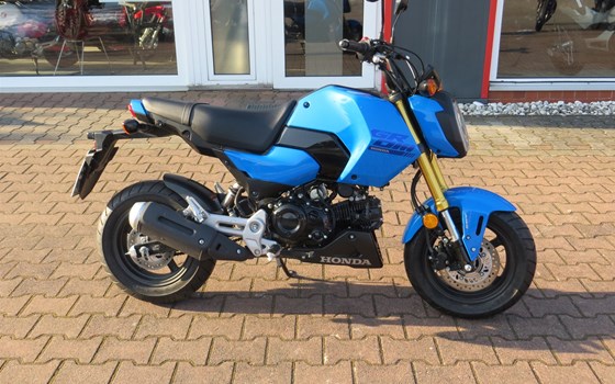 Gebrauchtmotorrad Honda MSX125 Grom - Bild 1