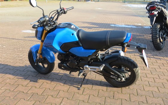 Gebrauchtmotorrad Honda MSX125 Grom - Bild 4