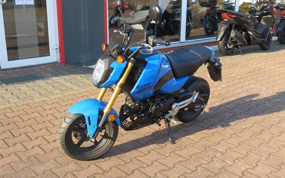 Gebrauchtmotorrad Honda MSX125 Grom - Bild 6