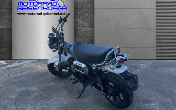 Gebrauchtmotorrad Honda Dax 125 - Bild 3