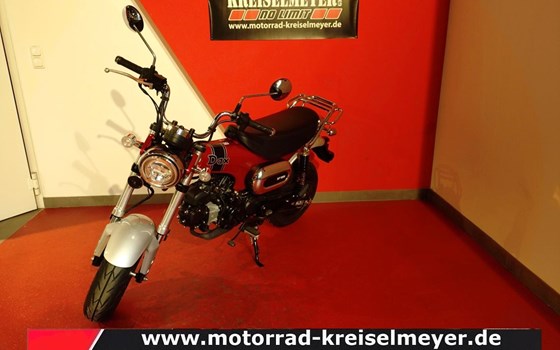 Gebrauchtmotorrad Honda Dax 125 - Bild 3