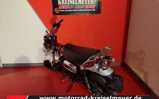 Gebrauchtmotorrad Honda Dax 125 - Bild 5