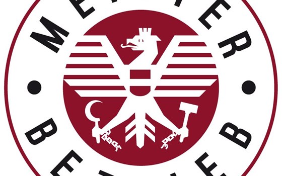 Neufahrzeug Benda Napoleonbob 250 - Bild 5