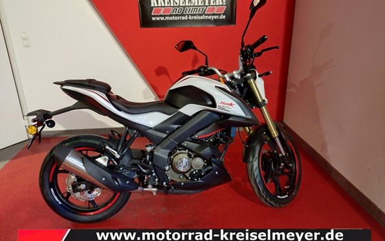 Neufahrzeug QJ Motor SRK 125 S - Bild 8