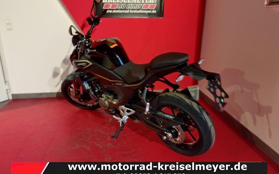 Neufahrzeug QJ Motor SRK 600 PRO - Bild 5