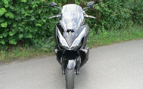 Neufahrzeug Kymco Downtown GT 125i ABS - Bild 7