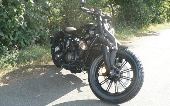 Neufahrzeug Benda Napoleonbob 250 - Bild 7