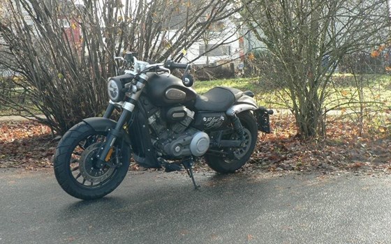 Neufahrzeug Nitro Motors Maxi Cross - Bild 1