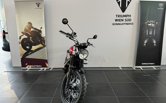 Gebrauchtmotorrad Triumph Scrambler 900 - Bild 3