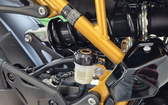 Neufahrzeug Kawasaki Z900 - Bild 12