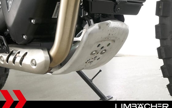 Gebrauchtmotorrad Triumph Scrambler 400 X - Bild 15