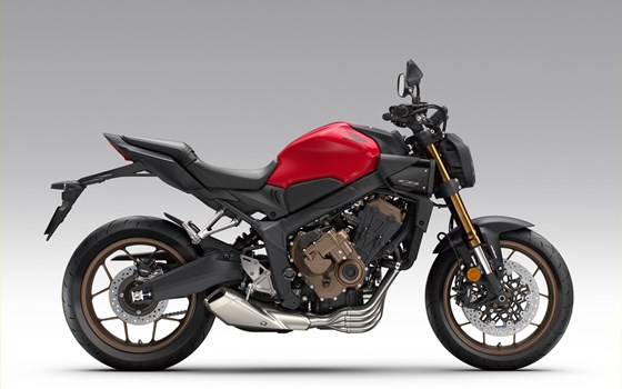 Neufahrzeug Honda CB650R E-Clutch - Bild 1