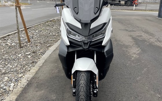 Neufahrzeug Voge SR4 350i ABS - Bild 3