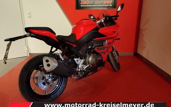 Neufahrzeug QJ Motor SRK 600 RS - Bild 7