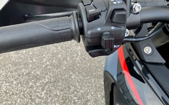 Neufahrzeug Rieju Aventura Rally 307 - Bild 18