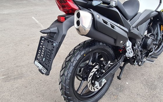 Neufahrzeug Motron X-Nord 125 - Bild 3