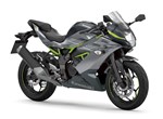 Angebot Kawasaki Ninja 125