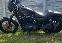 Gebrauchte Harley-Davidson Sportster XL 883 N Iron