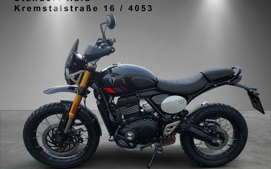 Neufahrzeug Triumph Scrambler 400 XC - Bild 3