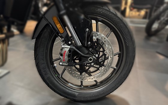 Neufahrzeug Triumph Tiger 900 Alpine Edition - Bild 9