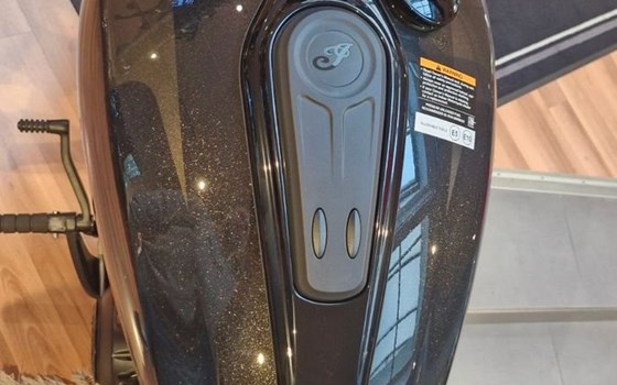 Neufahrzeug Indian Scout - Bild 11