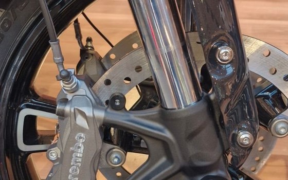 Neufahrzeug Indian Scout - Bild 19