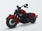 Angebot Indian Chief Vintage