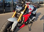 Angebot BMW F 900 R