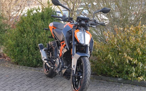 Gebrauchtmotorrad KTM 390 Duke - Bild 2