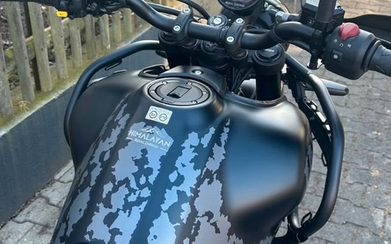 Neufahrzeug Royal Enfield Himalayan 450 - Bild 2